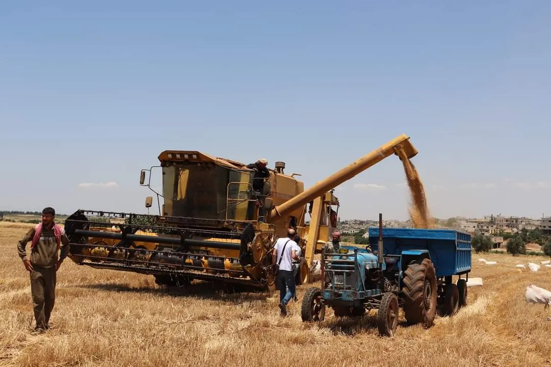 "قطنا" يتحدث عن "الزراعة الذكية" .. وتقديرات جديدة لمحصول القمح في سوريا