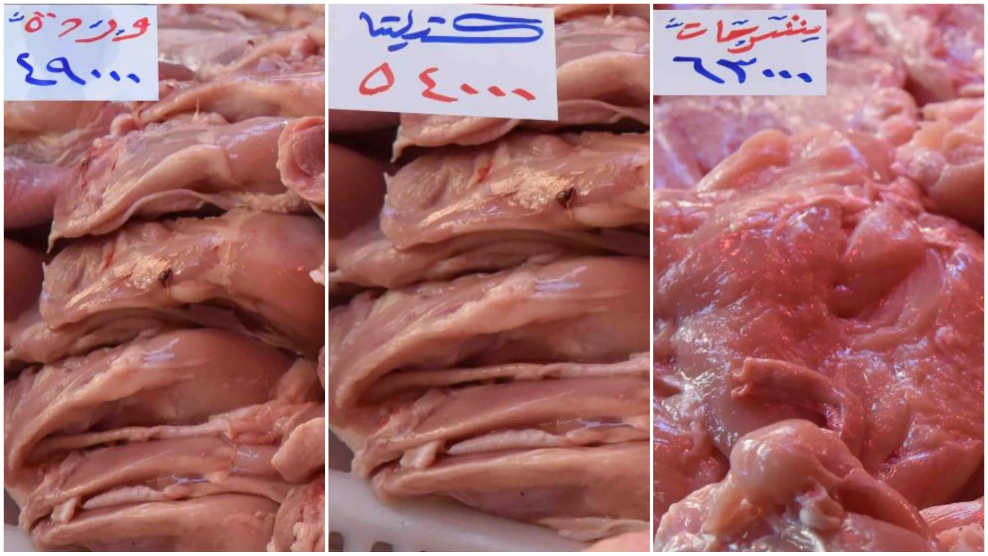 ارتفاع الفروج بنسبة 212% خلال عام.. غلاء اللحوم يصل مستويات قياسية في سوريا