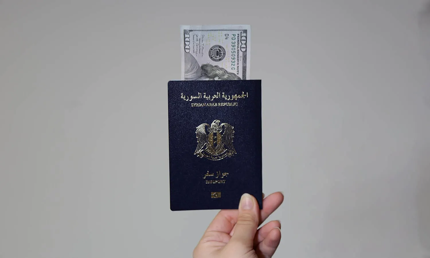 "لكل خدمة سعرها".. النظام يبرر رفع رسوم الجوازات ويحمل المواطنين المسؤولية
