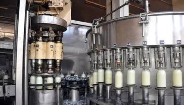 مسؤول يقدر انخفاض إنتاج حليب الغنم في سوريا بنسبة تتخطى 90 بالمئة