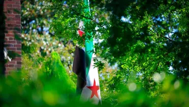 فضل عبد الغني: "العلم" الرمز الوطني الأسمى لتجسيد الهوية الوطنية في البروتوكولات والدبلوماسية