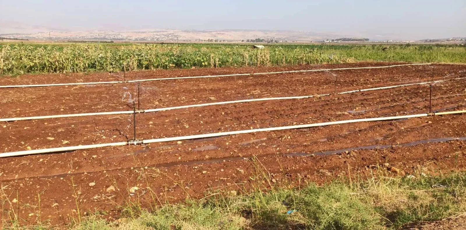 الأرض الضائعة: السوريون يبيعون ممتلكاتهم لإصلاح منازلهم المدمرة
