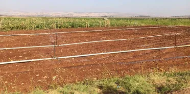 الأرض الضائعة: السوريون يبيعون ممتلكاتهم لإصلاح منازلهم المدمرة