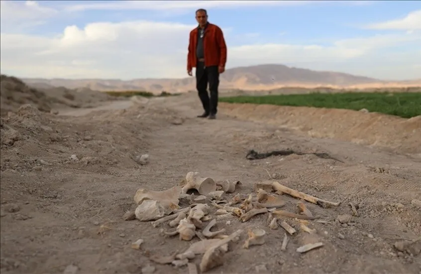 صورة تعبيرية (ارشيفية)