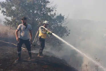 حرائق ريف اللاذقية: الإهمال والمخلفات الحربية تهدد البيئة والمحاصيل