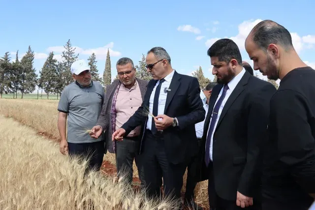 مشروع “القرض الحسن” لزراعة القمح… خطوة حكومية لدعم الأمن الغذائي