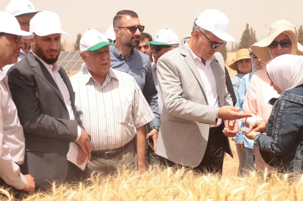 قرار حكومي يحدد سعر بذار القمح للموسم الزراعي 2025–2026