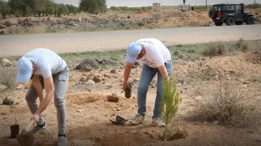 وزارة الزراعة تطلق حملة "غرسة وطن" لتشجير طريق مطار دمشق الدولي