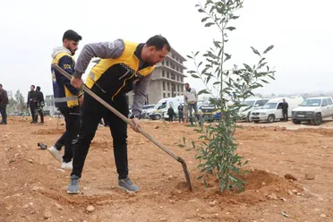 حملة ريفنا أخضر: مبادرة وطنية لإعادة الغطاء النباتي في ريف دمشق