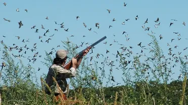 وزارة البيئة تشدد على تنظيم الصيد وحماية التنوع الحيوي
