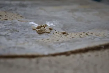 تقرير أممي: تعطيل واسع لتصنيع الكبـ ـتاغون في سوريا بعد سقوط الأسد