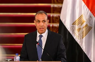 مصر تؤكد رفضها لأي تدخل إسرائيلي في سوريا وتدعو للسلام في المنطقة