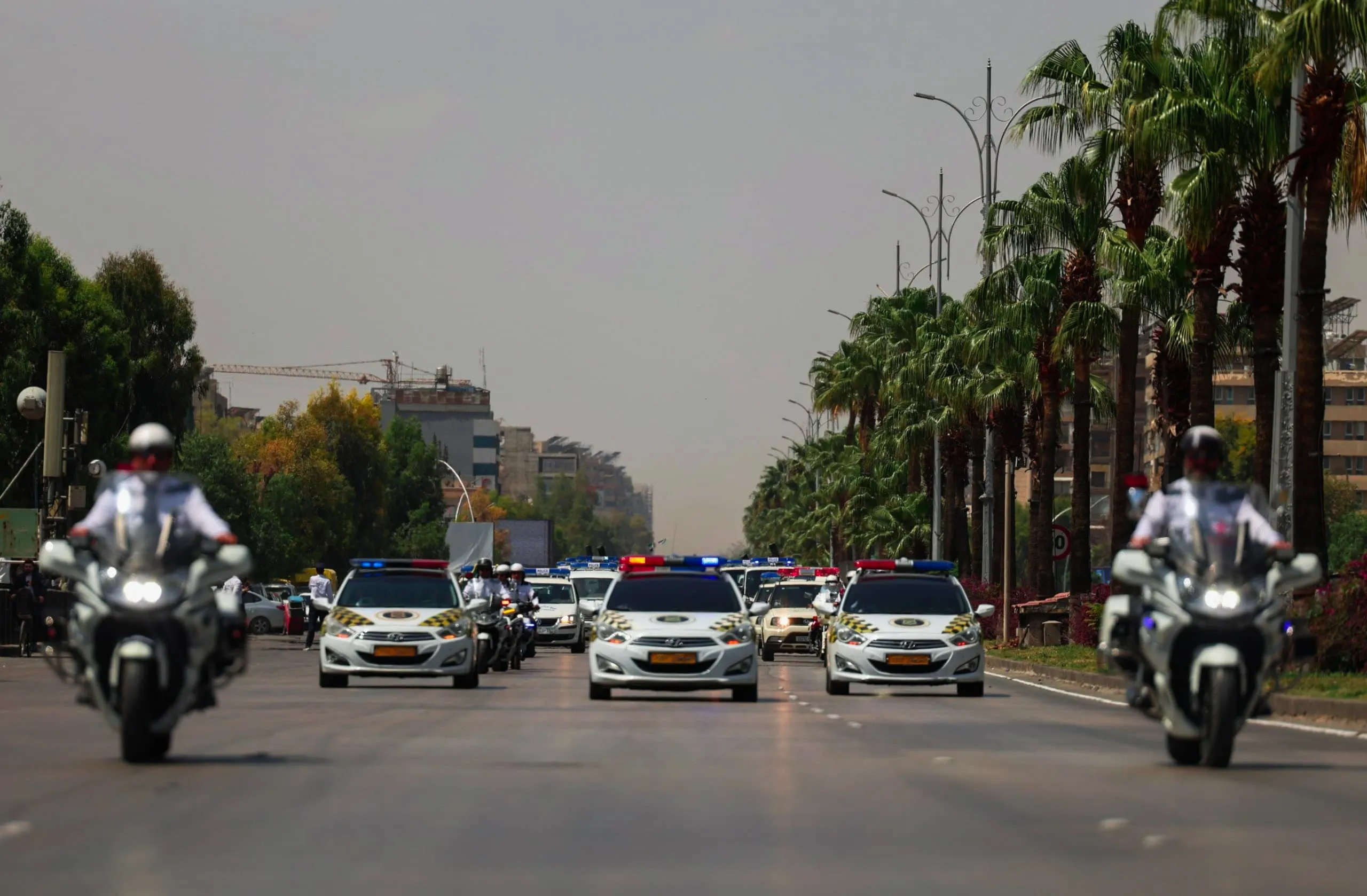 في يوم المرور العالمي... فعاليات توعوية وتكريمات في عدة محافظات سورية