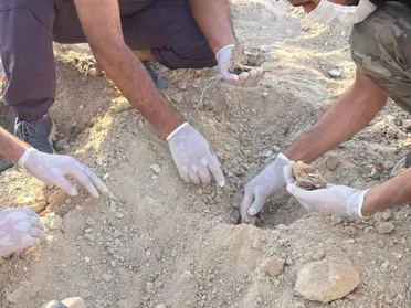 العثور على مقبرة جماعية في دير الزور والتحقيقات جارية لتحديد هوية الضحايا
