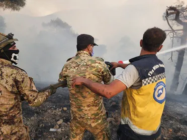 ضبط مجموعة من فلول النظام حاولت إشعال حرائق في أحراش اللاذقية