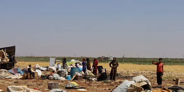 الشتات البدوي: معاناة النساء في وجه التهجير القسري من ريف السويداء
