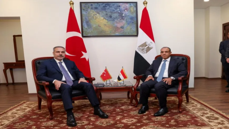 القاهرة وأنقرة تؤكدان وحدة الأراضي السورية وضرورة الحل السياسي الشامل