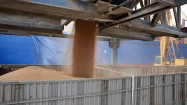 سوريا تواجه أسوأ أزمة قمح منذ عقود وسط جفاف غير مسبوق ونقص في الواردات