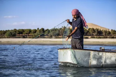 نهر الفرات في دير الزور: الصيد الجائر وتداعياته على الصيادين والأهالي