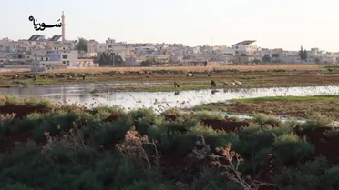 أهالي كفرنوران يطلقون نداء استغاثة بعد غرق أراضيهم الزراعية بمياه الصرف الصحي