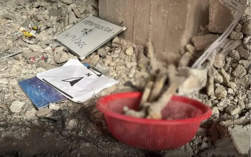 "مجموعة العمل" تدعو لمسح شامل في حيّ التضامن وكشف مصير المفقودين