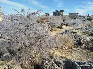 الطوارئ تحذر: موجة صقيع تضرب سوريا مطلع يناير وتبلغ ذروتها السبت والأحد