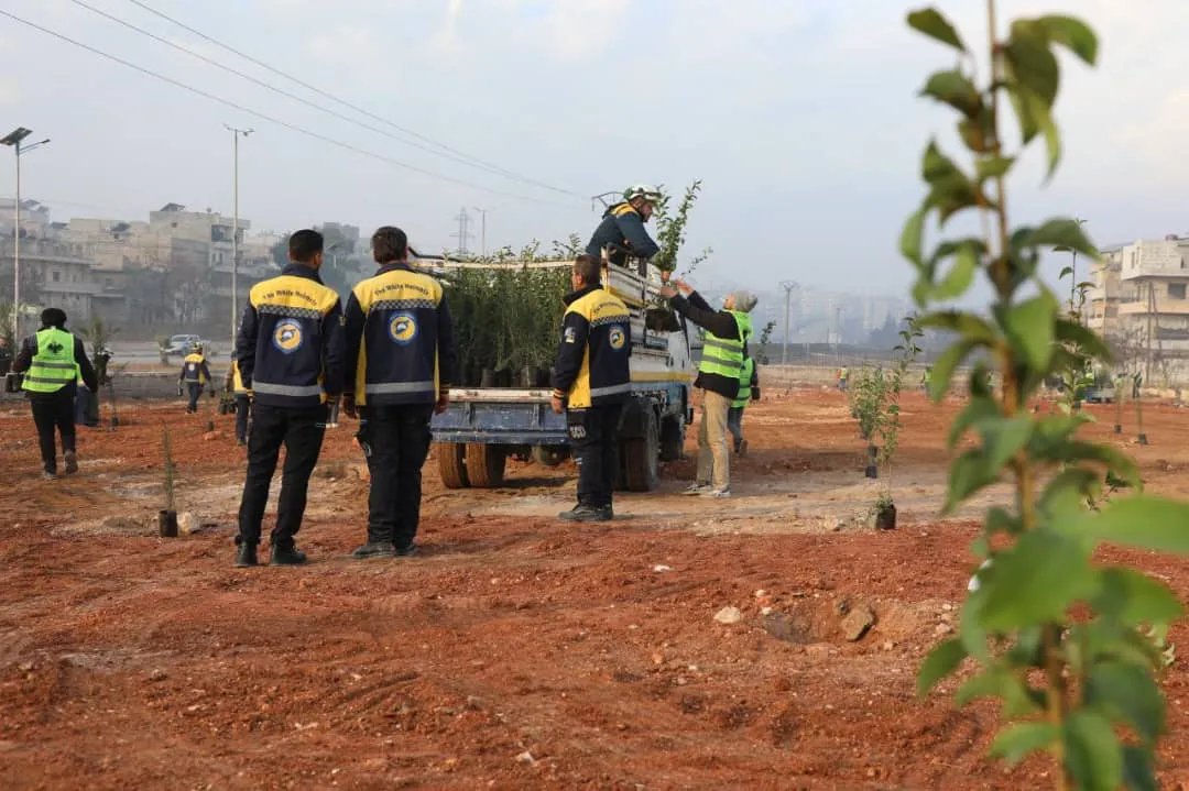 حملات التشجير في سوريا: غرس للأمل واستعادة للتوازن البيئي