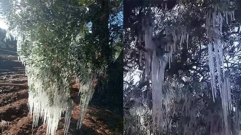 وزارة الطوارئ تحذر من موجة صقيع وتصدر إرشادات للمواطنين