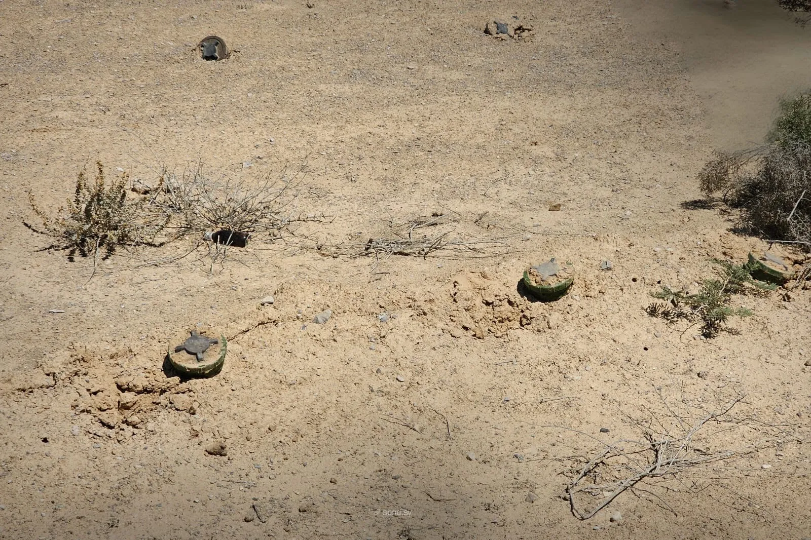 حلب: 5 ضحايا بانفجار ألغام زرعتها "قسد" في قرى قرب سدي تشرين وقره قوزاق