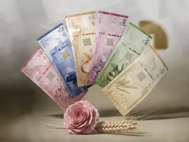 سوريا تبدأ إتلاف العملة القديمة ضمن خطة شاملة لتحديث النظام النقدي