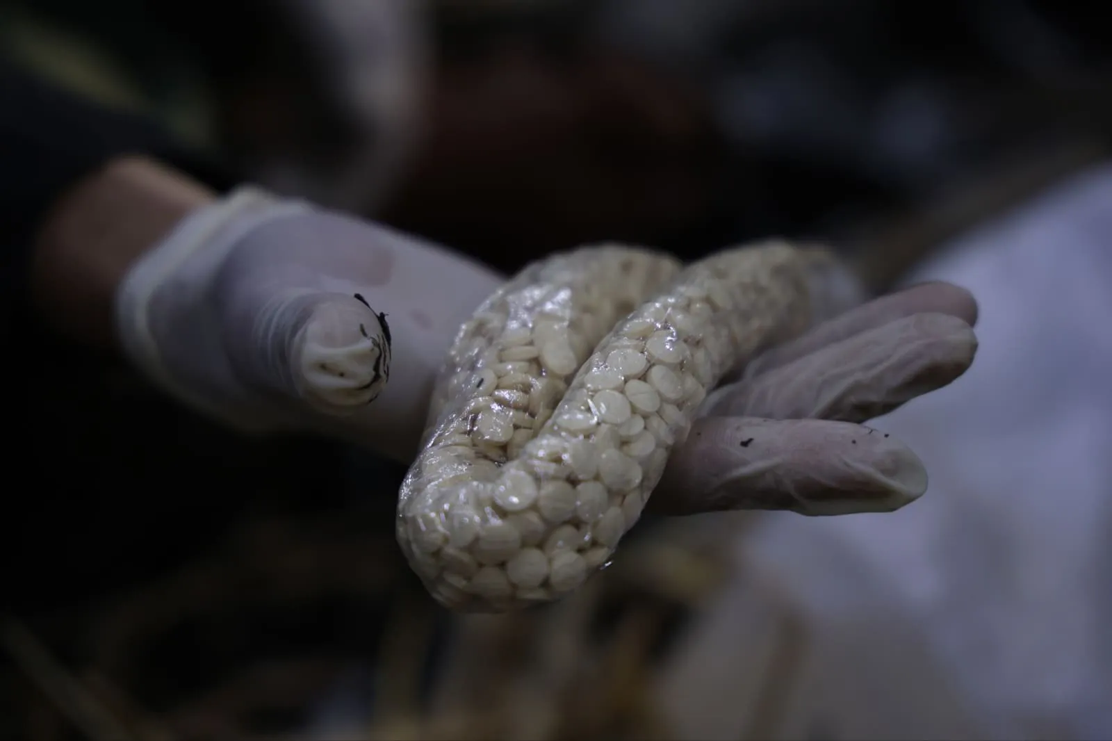 مكافحة المخدرات تحبط تهريب الكبتاغون إلى السعودية