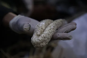 مكافحة المخدرات تحبط تهريب الكبتاغون إلى السعودية