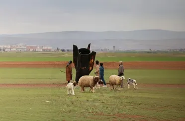 فضل عبد الغني: استخدام الأجواء السورية في حرب إيران يفرض تحركاً قانونياً لحماية السيادة