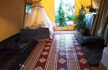 نساء يحولن الخيام والمساكن المؤقتة إلى مساحات مرتبة وجميلة لمواجهة قسوة النزوح