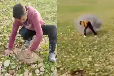 مقاطع صادمة من الرقة: أطفال وشبان يواجهون الموت بأيديهم وسط انتشار الألغام