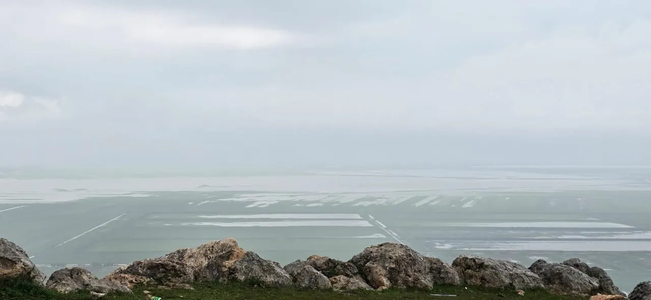 أكثر من 2500 هكتار متضرر .. غمر الحقول وانتشار الآفات يُهددان محصول القمح في إدلب