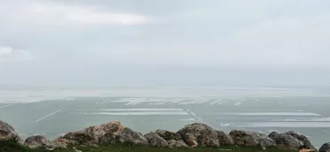 أكثر من 2500 هكتار متضرر .. غمر الحقول وانتشار الآفات يُهددان محصول القمح في إدلب