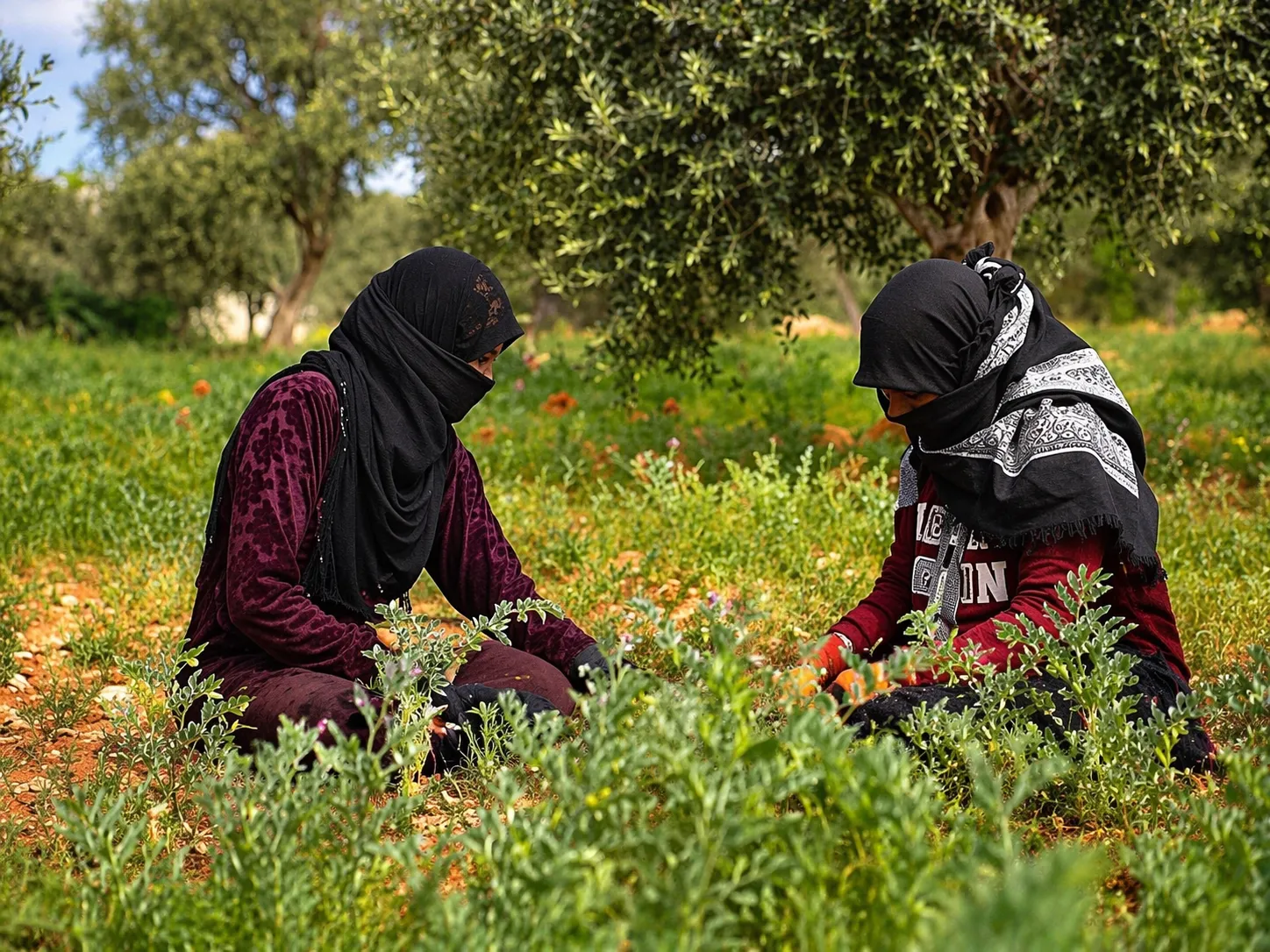 نساء حملن عبء الإعالة بين النزوح والعودة وتغير الظروف المعيشية