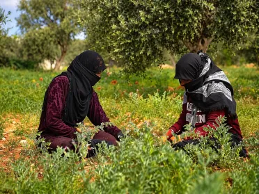 نساء حملن عبء الإعالة بين النزوح والعودة وتغير الظروف المعيشية