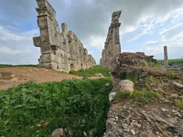 آثار أفاميا بين الإهمال وضرورات الإنقاذ.. دعوات لإعادة التأهيل وحماية الإرث السوري