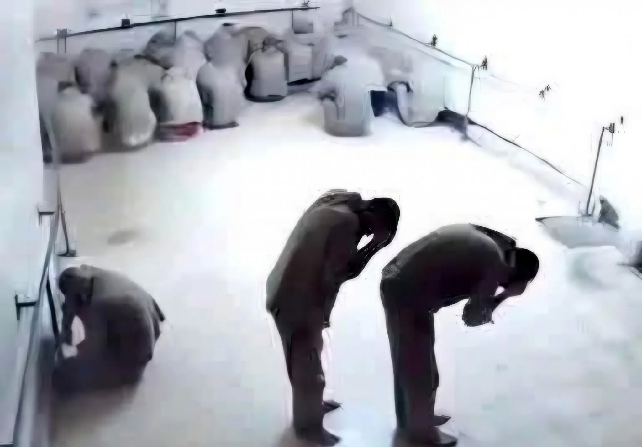 تسريبات صيدنايا تنكأ جراح السوريين.. ومطالب بكشف الحقيقة كاملة