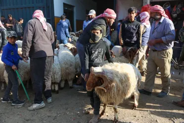 دمشق تبدأ منح تراخيص ذبح الأضاحي وتتوعد المخالفين بالغرامات خلال عيد الأضحى