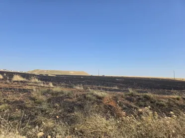 حرائق المحاصيل الزراعية في ريف حماة وإدلب.. خسائر متكررة ونداءات لتعزيز إجراءات الوقاية