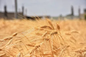 last news image