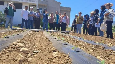 المدارس الحقلية.. نموذج تطبيقي يعزز الزراعة المستدامة ويرفع كفاءة الإنتاج في سوريا