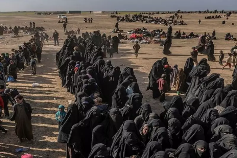 "الإدارة الذاتية" تنقل عائلات داعش الأجانب "والأقل تشدداً" من مخيم الهول لمخيم آخر
