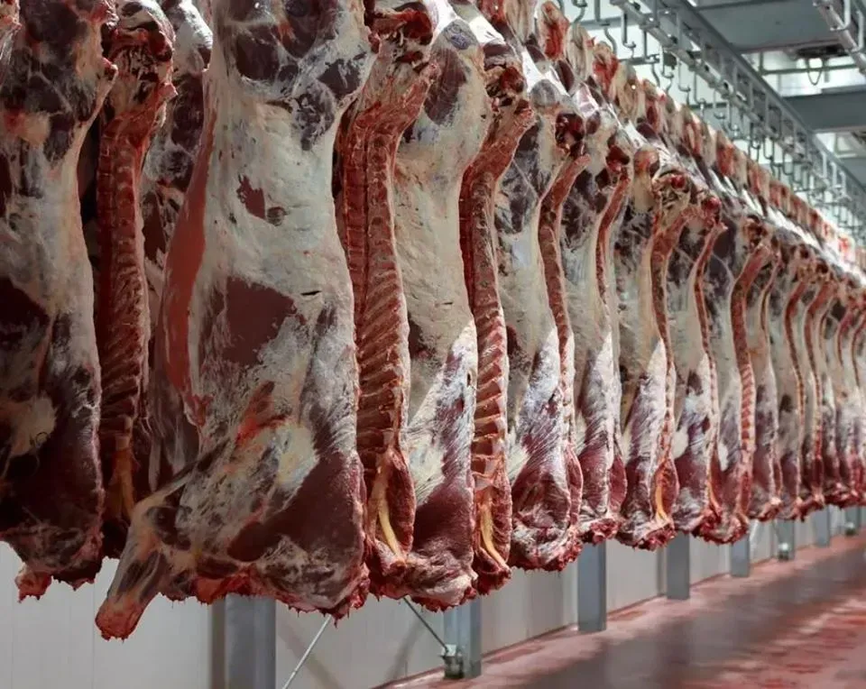 مع انخفاض استهلاك بـ 25% .. تزايد أسعار ومخالفات اللحوم الفاسدة بدمشق